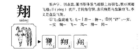 翔五行|翔字的五行是什么,翔的五行属性及吉利寓意